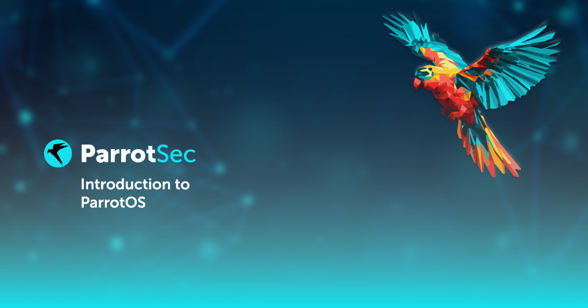 Hack the Box cards asset