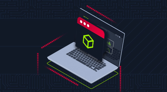 Cross-Site Scripting (XSS)